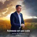  - Adesea ori pe cale
