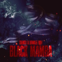 Black Mamba (feat. Lowkee Boy) - Single - Siemsi