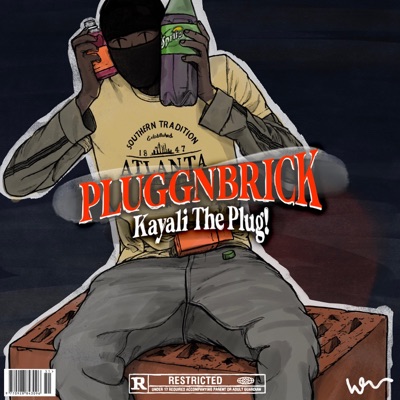 Pluggnbrick (Days Before Damn Daddy) - EP