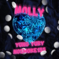 MOLLY - Single - Yung Yury & nosmoke155
