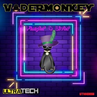 Pimpin' 4 Livin' - Single - VaderMonkey