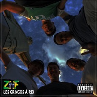 Les gringos à Rio (feat. BBKing Leme, DJ RALF DO LEME & Leao Dourado) - Single - ZHF