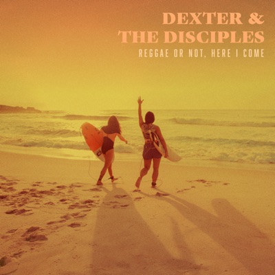 Reggae or Not, Here I Come - Single