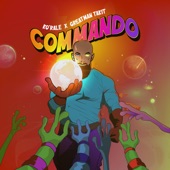Commando artwork