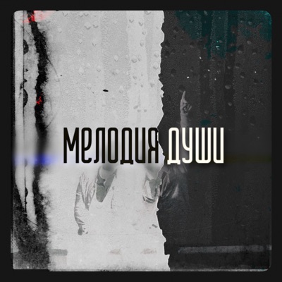 Мелодия души (feat. Bibidana) - Single