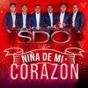 Niña de Mi Corazón - Single