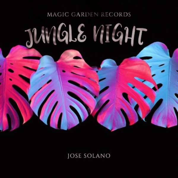 Jungle Night - Single