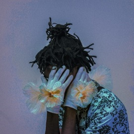 Shimmering Charlatan omniboi