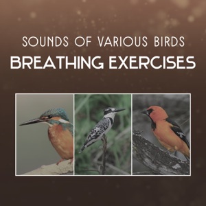 Sounds of Various Birds – Breathing Exercises, Meditation Classes, Anxiety Free, Yoga Mantras for the Soul, Self Healing, Nature Sounds Relaxation