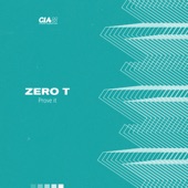 Zero T - Form 1