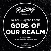 Gods of Our Realm (feat. Ayaba Poetic) [Rob Redford Aquarius Dub] artwork