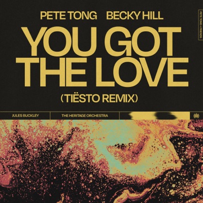 You Got The Love (Tiësto Remix) [feat. Jules Buckley & The Heritage Orchestra] - Single