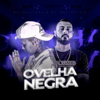 Ovelha Negra (feat. Mc Emilinha) - Single - DJ MOLINA OFC