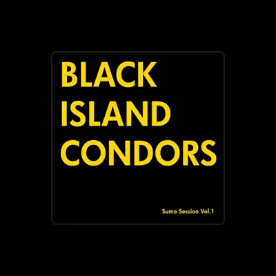 Listen to Black Island Condors, watch music videos, read bio, see tour dates & more!