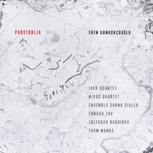 Eren Gümrükçüoğlu: Pareidolia