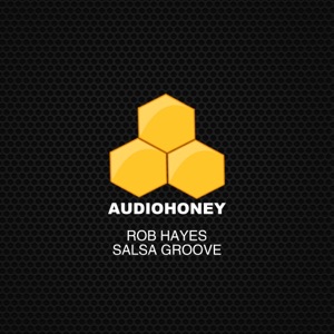 Salsa Groove - Single