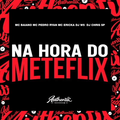 Na Hora do Meteflix (feat. dj chris sp, DJ W5, MC ERICKA & Mc Pedro Ryan) - Single