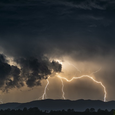 William roice - Cibelle