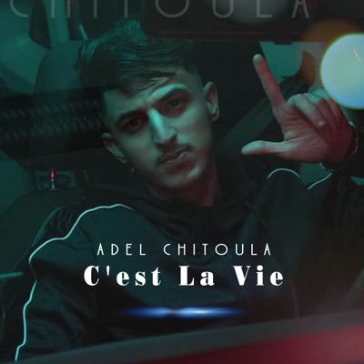 C'est La Vie (feat. Allaa Mazari) - Single