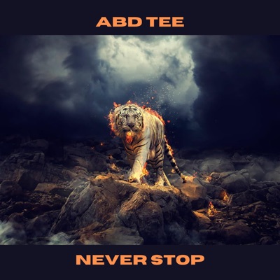 Never Stop - Single