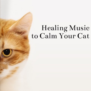 Healing Music to Calm Your Cat - Stress Relief, Relaxation