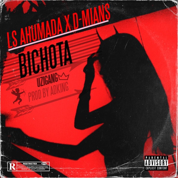 Bichota (feat. D-mian$)