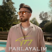 Parlayalım artwork