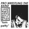 Pro Wrestling The Band