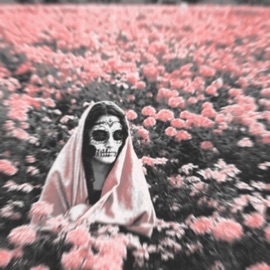 It's Not Real (feat. Nillia) Tok 1804