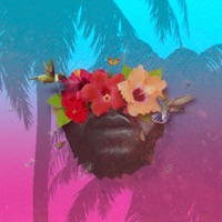 B.A.H.S.A.N.F.O.R.D - Bahsanford