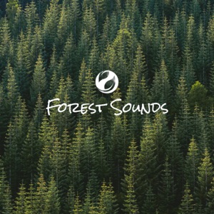 Forest of Woods - Single