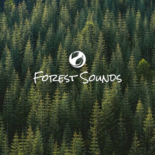 Forest of Woods - Single