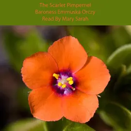 The Scarlet Pimpernel (Unabridged)