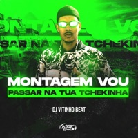 Montagem Vou Passar sua Tchekinha (feat. Dj Alex BEAT) - Single - Dj Vitinho Beat