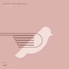 Polyvinyl 4 - Track Singles Series, Vol. 1 - Single