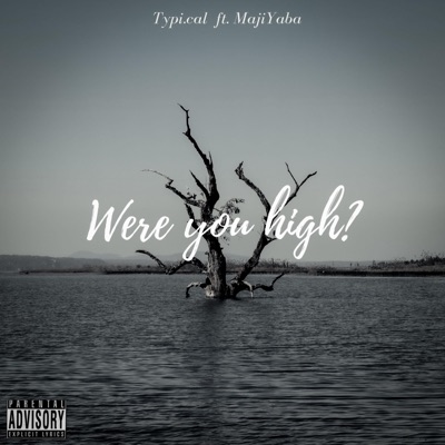 Were You High? - Single