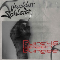 Dunkler Schleier - Single - Pure46, BunGeeMcee & Kazan