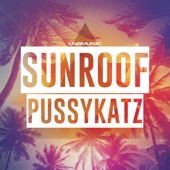 Sunroof (Bonkerz Remix Edit) artwork