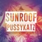 Sunroof (Bonkerz Remix Edit) artwork