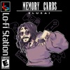 Memory Cards
