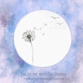 Tales of Anicca (Remix) artwork