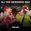 SALAS  DJ TAO Turreo Sessions #12 - Single