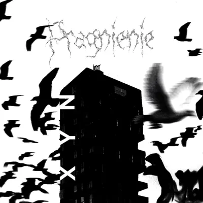 Hör dir „Pragnienie - EP“ von Yvng Xyn an