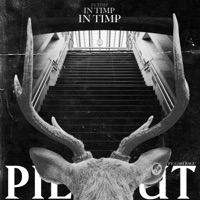 Pierdut in timp (feat. Gabi Bagu) - Single - Aspy