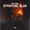 Striking Blow cover art