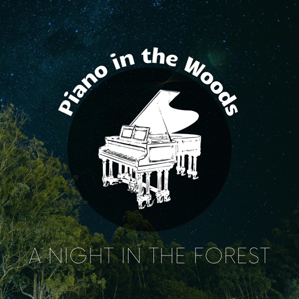 A Night in the Forest