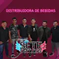 Distribuidora de Bebidas
