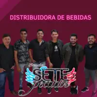 Distribuidora de Bebidas — Banda Sete Pecados