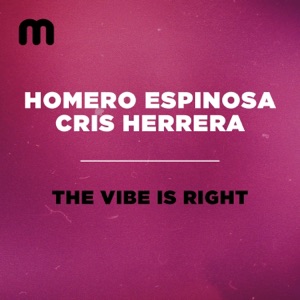 The Vibe Is Right - Single