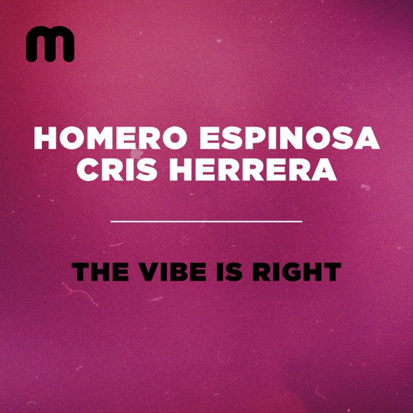 The Vibe Is Right - Single